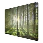 Bild Spring Fairytale Leinwand /  Massivholz Fichte - Mehrfarbig - 120 x 80 cm