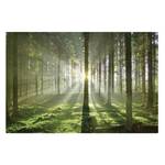 Afbeelding Spring Fairytale canvas/massief sparrenhout - meerdere kleuren - 150 x 100 cm