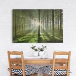 Afbeelding Spring Fairytale canvas/massief sparrenhout - meerdere kleuren - 150 x 100 cm