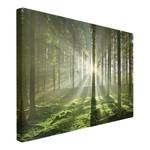 Afbeelding Spring Fairytale canvas/massief sparrenhout - meerdere kleuren - 150 x 100 cm