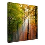 Bild Morning Light Leinwand /  Massivholz Fichte - Mehrfarbig - 40 x 40 cm