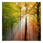 Bild Morning Light Leinwand /  Massivholz Fichte - Mehrfarbig - 60 x 60 cm