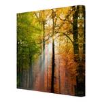 Afbeelding Morning Light canvas/massief sparrenhout - meerdere kleuren - 60 x 60 cm