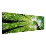 Bild Bäume des Lebens Leinwand /  Massivholz Fichte - Mehrfarbig - 90 x 30 cm
