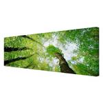 Bild Bäume des Lebens Leinwand /  Massivholz Fichte - Mehrfarbig - 90 x 30 cm
