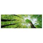 Bild Bäume des Lebens Leinwand /  Massivholz Fichte - Mehrfarbig - 120 x 40 cm