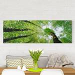 Bild Bäume des Lebens Leinwand /  Massivholz Fichte - Mehrfarbig - 120 x 40 cm
