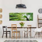Afbeelding Levensbomen canvas/massief sparrenhout - meerdere kleuren - 120 x 40 cm