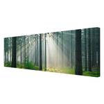Afbeelding Enlightened Forest canvas/massief sparrenhout - meerdere kleuren - 90 x 30 cm