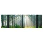 Bild Enlightened Forest Leinwand /  Massivholz Fichte - Mehrfarbig - 120 x 40 cm