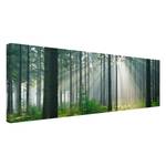 Tableau déco Enlightened Forest Toile / Épicéa massif - Multicolore - 120 x 40 cm