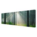 Afbeelding Enlightened Forest canvas/massief sparrenhout - meerdere kleuren - 120 x 40 cm