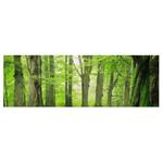 Tableau déco Mighty Beech Trees Toile / Épicéa massif - Multicolore - 90 x 30 cm
