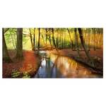Bild Autumn Fairytale Leinwand /  Massivholz Fichte - Mehrfarbig - 120 x 60 cm
