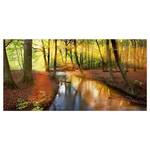 Bild Autumn Fairytale Leinwand /  Massivholz Fichte - Mehrfarbig - 160 x 80 cm