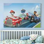 Afbeelding Paw Patrol canvas/massief sparrenhout - meerdere kleuren - 60 x 40 cm