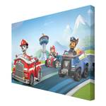 Tableau déco Paw Patrol Toile / Épicéa massif - Multicolore - 60 x 40 cm