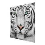 Tableau déco tigre blanc Verre de sécurité ESG - Multicolore - 50 x 50 cm