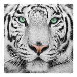 Tableau déco tigre blanc Verre de sécurité ESG - Multicolore - 30 x 30 cm