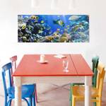Tableau déco Underwater Reef Verre de sécurité ESG - Multicolore - 80 x 30 cm