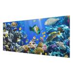 Bild Underwater Reef ESG Sicherheitsglas - Mehrfarbig - 80 x 30 cm