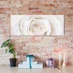 Bild Pretty White Rose II ESG Sicherheitsglas - Mehrfarbig - 125 x 50 cm