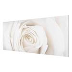 Bild Pretty White Rose II ESG Sicherheitsglas - Mehrfarbig - 125 x 50 cm