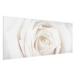 Tableau déco Pretty White Rose II Verre de sécurité ESG - Multicolore - 125 x 50 cm
