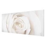Tableau déco Pretty White Rose II Verre de sécurité ESG - Multicolore - 100 x 40 cm