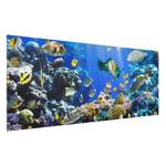 Bild Underwater Reef ESG Sicherheitsglas - Mehrfarbig - 125 x 50 cm