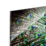 Afbeelding Elegante Pauw ESG-veiligheidsglas - meerdere kleuren - 100 x 75 cm