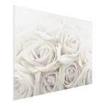 Bild Weiße Rosen ESG Sicherheitsglas - Mehrfarbig - 100 x 75 cm