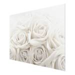 Tableau déco roses blanches Verre de sécurité ESG - Multicolore - 100 x 75 cm