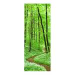 Tableau déco chemin dans la forêt Verre de sécurité ESG - Multicolore - 30 x 80 cm