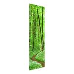 Bild Romantischer Waldweg ESG Sicherheitsglas - Mehrfarbig - 30 x 80 cm