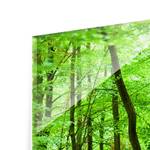 Afbeelding Romantisch Bospad ESG-veiligheidsglas - meerdere kleuren - 30 x 80 cm