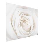 Tableau déco Pretty White Rose II Verre de sécurité ESG - Multicolore - 80 x 60 cm