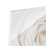 Afbeelding Pretty White Rose II ESG-veiligheidsglas - meerdere kleuren - 80 x 60 cm