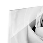 Tableau déco Close Up Rose Verre de sécurité ESG - Multicolore - 80 x 30 cm