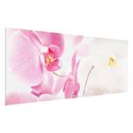 Tableau déco Delicate Orchids Verre de sécurité ESG - Multicolore - 80 x 30 cm