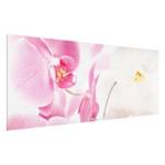 Bild Delicate Orchids ESG Sicherheitsglas - Mehrfarbig - 125 x 50 cm