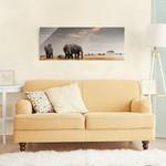 Tableau déco éléphants dans la savane Verre de sécurité ESG - Multicolore - 125 x 50 cm