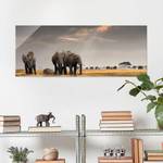 Tableau déco éléphants dans la savane Verre de sécurité ESG - Multicolore - 125 x 50 cm