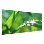 Afbeelding Green Ambiance II ESG-veiligheidsglas - meerdere kleuren - 80 x 30 cm