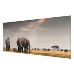 Tableau déco éléphants dans la savane Verre de sécurité ESG - Multicolore - 80 x 30 cm