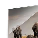Tableau déco éléphants dans la savane Verre de sécurité ESG - Multicolore - 80 x 30 cm