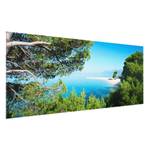 Bild Hidden Paradise ESG Sicherheitsglas - Mehrfarbig - 80 x 30 cm