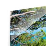Tableau déco Hidden Paradise Verre de sécurité ESG - Multicolore - 80 x 30 cm