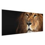 Tableau déco lion Verre de sécurité ESG - Multicolore - 100 x 40 cm