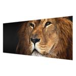 Tableau déco lion Verre de sécurité ESG - Multicolore - 125 x 50 cm